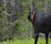 Montana2008 116